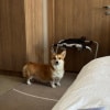 https://cdn-ostrovok-ru-ion.test.edgekey.net/t/100x100/hotel_review/87/5a/875ab0f94867d67d9bc5c87b3296ff43e26b0fc7.JPEG