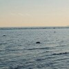 https://cdn-ostrovok-ru-ion.test.edgekey.net/t/100x100/hotel_review/87/70/877068029c047d6d67d4f1c6cee36c2d3433096b.JPEG