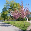 https://cdn-ostrovok-ru-ion.test.edgekey.net/t/100x100/hotel_review/87/e2/87e2fb62b649ed220cc8a250f7ba2e5c08d25291.jpeg