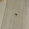 https://cdn-ostrovok-ru-ion.test.edgekey.net/t/100x100/hotel_review/88/00/880040f91ca0fbc9a3b94ca9bd326aa95410a7b4.jpeg