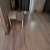 https://cdn-ostrovok-ru-ion.test.edgekey.net/t/100x100/hotel_review/88/05/88059590167116029c782551ea8f3b2ce7ff0774.jpeg