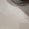 https://cdn-ostrovok-ru-ion.test.edgekey.net/t/100x100/hotel_review/88/1d/881d6cbb0b6f7cc9bcaf618aa86cb78829e23c51.JPEG