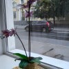 https://cdn-ostrovok-ru-ion.test.edgekey.net/t/100x100/hotel_review/88/1f/881fc022a81bda227f38cf186795728be84efaf5.JPEG