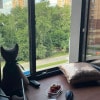 https://cdn-ostrovok-ru-ion.test.edgekey.net/t/100x100/hotel_review/88/71/8871901f2ddf4dd4aa985df398e79625ccd3fb6c.JPEG
