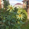 https://cdn-ostrovok-ru-ion.test.edgekey.net/t/100x100/hotel_review/88/a5/88a595a0978072b7f44608a3a4978eabc9902547.JPEG