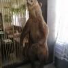 https://cdn-ostrovok-ru-ion.test.edgekey.net/t/100x100/hotel_review/88/b6/88b678ee9335a1ab1f12bd0542338953baaa492c.jpeg