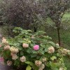 https://cdn-ostrovok-ru-ion.test.edgekey.net/t/100x100/hotel_review/89/8d/898dd8955525ed11fd17ed459f4b556362cbd9a2.jpeg