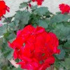 https://cdn-ostrovok-ru-ion.test.edgekey.net/t/100x100/hotel_review/89/b4/89b4f44cd0c080a83b3d0947d897f20eb5b5bfd3.JPEG