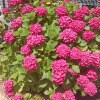 https://cdn-ostrovok-ru-ion.test.edgekey.net/t/100x100/hotel_review/8a/07/8a07ebe35fc124e5e215043321f31707837afe27.JPEG