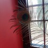 https://cdn-ostrovok-ru-ion.test.edgekey.net/t/100x100/hotel_review/8a/0b/8a0bf7995bddffa38312071c3a36e0ec7ec1c839.jpeg
