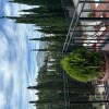 https://cdn-ostrovok-ru-ion.test.edgekey.net/t/100x100/hotel_review/8a/19/8a19341c2b685871b5d65267f1c4dde5085e3bd3.JPEG