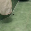 https://cdn-ostrovok-ru-ion.test.edgekey.net/t/100x100/hotel_review/8a/6c/8a6c4f333d4e494815fb45817c67990c20af2f39.JPEG