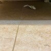 https://cdn-ostrovok-ru-ion.test.edgekey.net/t/100x100/hotel_review/8a/78/8a7888a5c9ac38d5b06751180f01bc657a1169a1.JPEG