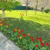 https://cdn-ostrovok-ru-ion.test.edgekey.net/t/100x100/hotel_review/8a/aa/8aaaba9d4dbd0d0a6c35f0c3c78127a846ebbe25.JPEG