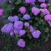 https://cdn-ostrovok-ru-ion.test.edgekey.net/t/100x100/hotel_review/8a/b3/8ab3a0c83ae17cb767a55a694c3c55f6ba27f69c.JPEG
