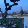 https://cdn-ostrovok-ru-ion.test.edgekey.net/t/100x100/hotel_review/8a/e0/8ae0a7a340607fec027686291789f3058abf3b13.JPEG