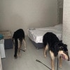 https://cdn-ostrovok-ru-ion.test.edgekey.net/t/100x100/hotel_review/8b/01/8b01381aeeac7beedf0533d5ad6bfe57f51195d9.jpeg