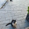 https://cdn-ostrovok-ru-ion.test.edgekey.net/t/100x100/hotel_review/8b/65/8b655692d5b9c042acb159faae5ebb0b02566153.JPEG
