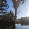 https://cdn-ostrovok-ru-ion.test.edgekey.net/t/100x100/hotel_review/8b/68/8b680749e302d39d33fe725759cb684e1f23c001.JPEG