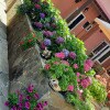 https://cdn-ostrovok-ru-ion.test.edgekey.net/t/100x100/hotel_review/8b/9b/8b9b40245d0e998a8ffeaf9ab37c4f1863fa7dbe.JPEG