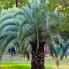 https://cdn-ostrovok-ru-ion.test.edgekey.net/t/100x100/hotel_review/8b/a6/8ba6e79cc467f2a5d53e1ce0c8a5566e0aa48f60.JPEG