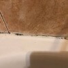 https://cdn-ostrovok-ru-ion.test.edgekey.net/t/100x100/hotel_review/8b/a7/8ba7282e8e6453d062876a008a525ebd072ce1f4.jpeg