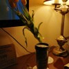 https://cdn-ostrovok-ru-ion.test.edgekey.net/t/100x100/hotel_review/8b/b1/8bb1a342a0ff1c80acad696c5ef4d19599645b07.jpeg
