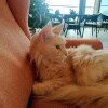 https://cdn-ostrovok-ru-ion.test.edgekey.net/t/100x100/hotel_review/8b/d1/8bd14abbdfe1d94d1e2748f69d030d6aca00cb59.JPEG