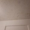 https://cdn-ostrovok-ru-ion.test.edgekey.net/t/100x100/hotel_review/8b/d1/8bd1d0183e99ee42036e68a114cf2519099cc4e4.jpeg