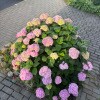 https://cdn-ostrovok-ru-ion.test.edgekey.net/t/100x100/hotel_review/8b/d9/8bd9ce00927f31734aa4bc6091e9046c5457b030.JPEG