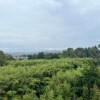 https://cdn-ostrovok-ru-ion.test.edgekey.net/t/100x100/hotel_review/8b/db/8bdbfd6e86743b245f2c353efee95266ba4d2bf1.JPEG