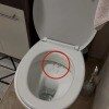 https://cdn-ostrovok-ru-ion.test.edgekey.net/t/100x100/hotel_review/8b/ec/8bec1f387f902d175042fa812ba093899db9ef8c.JPEG