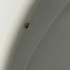 https://cdn-ostrovok-ru-ion.test.edgekey.net/t/100x100/hotel_review/8c/01/8c01f99977e1d1800ba6c5cf4b82fc27c739cb9a.JPEG