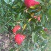 https://cdn-ostrovok-ru-ion.test.edgekey.net/t/100x100/hotel_review/8c/45/8c45c852506dfcda34fb877a38f73dfb79684537.JPEG