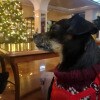 https://cdn-ostrovok-ru-ion.test.edgekey.net/t/100x100/hotel_review/8c/58/8c58a31c4c4d54bb08ab7dc736156919223794a8.JPEG