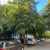 https://cdn-ostrovok-ru-ion.test.edgekey.net/t/100x100/hotel_review/8c/75/8c75bd7522bb39a3e14ba27fbe0554abac5b5067.jpeg