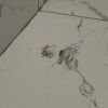 https://cdn-ostrovok-ru-ion.test.edgekey.net/t/100x100/hotel_review/8c/a7/8ca76dba2b1c0d5f7df46a085e45de1252e929f0.JPEG