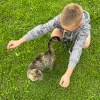 https://cdn-ostrovok-ru-ion.test.edgekey.net/t/100x100/hotel_review/8c/b2/8cb25d9cb7948666fecaac3dd59d33a296f3cced.JPEG