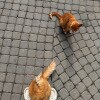 https://cdn-ostrovok-ru-ion.test.edgekey.net/t/100x100/hotel_review/8d/0c/8d0c253cb6a9b5d6a3f9eeb2cb421a31c5d7a2e1.JPEG