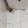 https://cdn-ostrovok-ru-ion.test.edgekey.net/t/100x100/hotel_review/8d/5b/8d5b4033b8b546056a65f0eaf142071ce557a2a0.JPEG