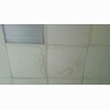 https://cdn-ostrovok-ru-ion.test.edgekey.net/t/100x100/hotel_review/8d/97/8d9758c56fac78df3c46f767f0b4b0888531c979.jpeg