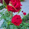 https://cdn-ostrovok-ru-ion.test.edgekey.net/t/100x100/hotel_review/8d/c8/8dc86395b5ce9912e048fd89d33f89979cd54e13.JPEG