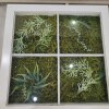 https://cdn-ostrovok-ru-ion.test.edgekey.net/t/100x100/hotel_review/8d/f7/8df78aba5bb88a428175bc9d0d74e7417c79425f.JPEG