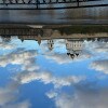 https://cdn-ostrovok-ru-ion.test.edgekey.net/t/100x100/hotel_review/8e/32/8e323836fe6d7d650858336f6cf6f3fa2a61fef5.JPEG