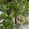 https://cdn-ostrovok-ru-ion.test.edgekey.net/t/100x100/hotel_review/8e/55/8e55b95aee802e05ca3e3bfc7f51859e4d3d5666.jpeg