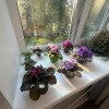 https://cdn-ostrovok-ru-ion.test.edgekey.net/t/100x100/hotel_review/8e/5d/8e5d91b9a8d2e9121b2af38c69762dc4aee46949.JPEG
