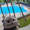 https://cdn-ostrovok-ru-ion.test.edgekey.net/t/100x100/hotel_review/8e/8b/8e8bf4dfa11021f84e160992783843901130923c.JPEG