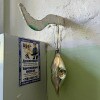 https://cdn-ostrovok-ru-ion.test.edgekey.net/t/100x100/hotel_review/8e/9f/8e9f8174a4f311e92e9f8077951adca57d9d9d5d.JPEG