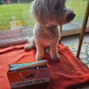 https://cdn-ostrovok-ru-ion.test.edgekey.net/t/100x100/hotel_review/8e/a0/8ea0bf00d86239691fe2b9530a5e241a23287d23.JPEG