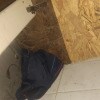 https://cdn-ostrovok-ru-ion.test.edgekey.net/t/100x100/hotel_review/8e/c6/8ec61e4ce5abd8d76eed08baa8fe814cb6781126.JPEG